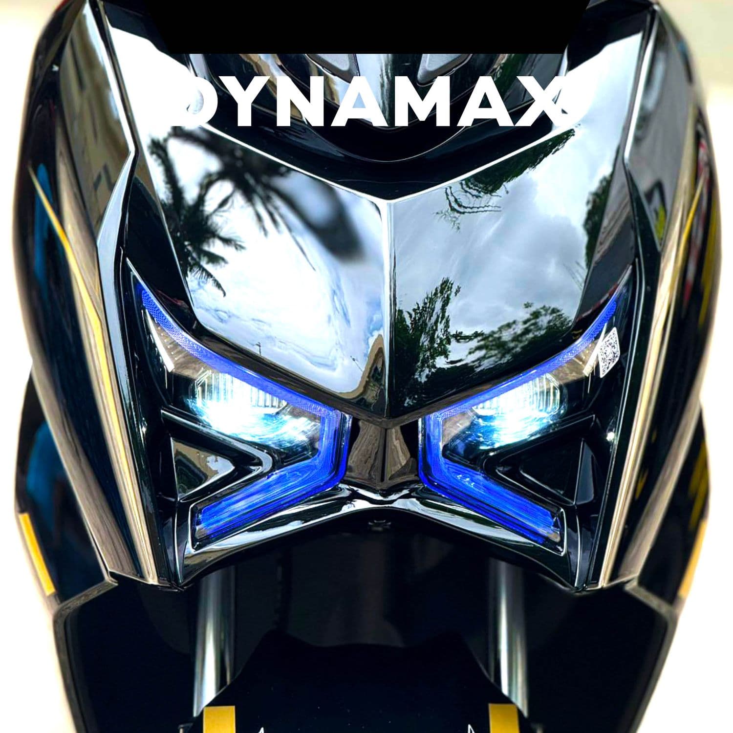 Dynamax