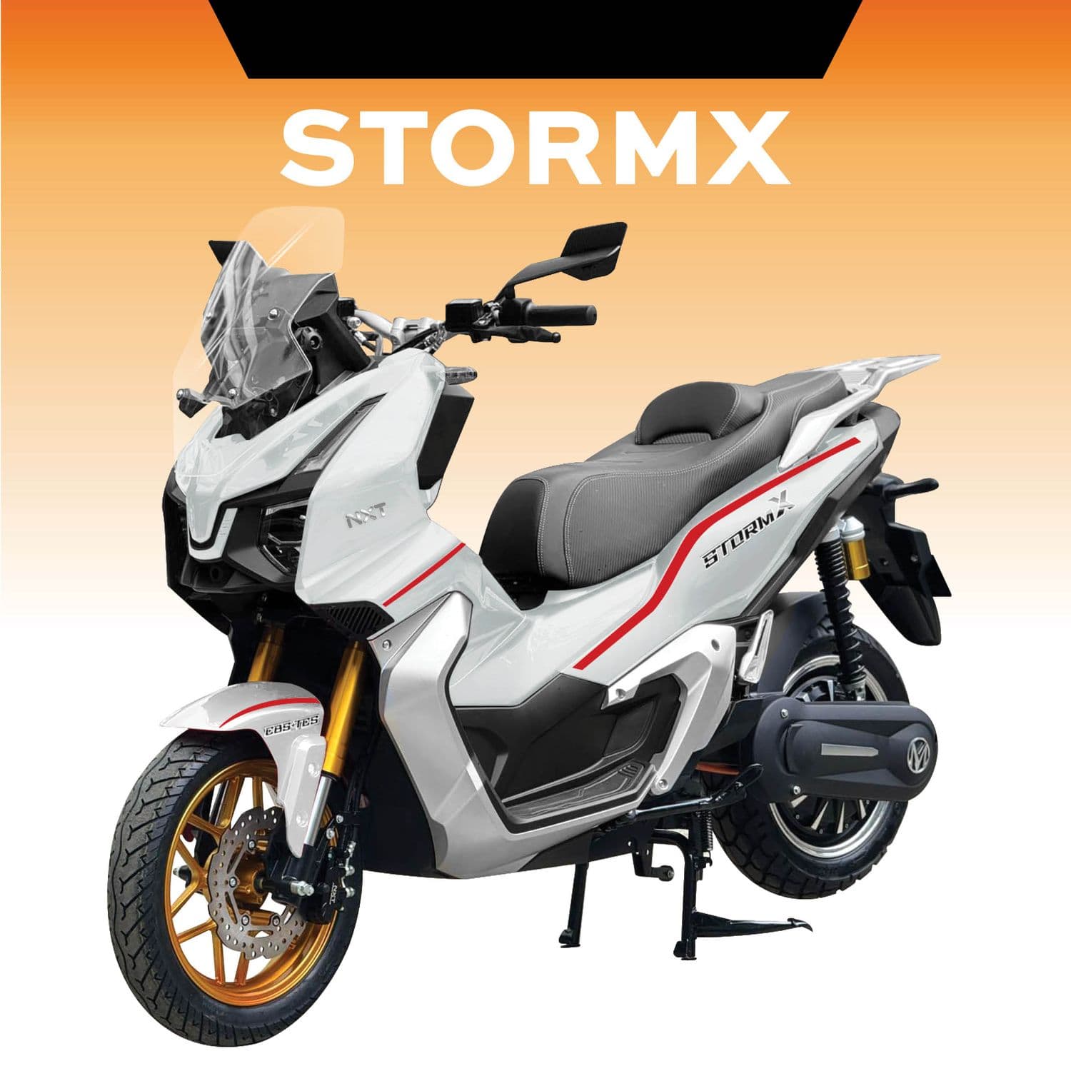Storm X